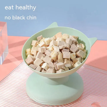 FillEase Oversized Cat Feeding Bowl